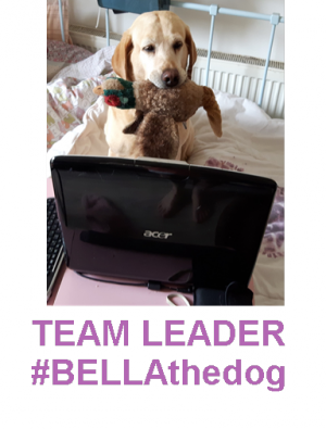 #BELLAthedog TEAM LEADER
